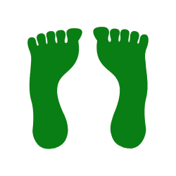 Empreinte Pied